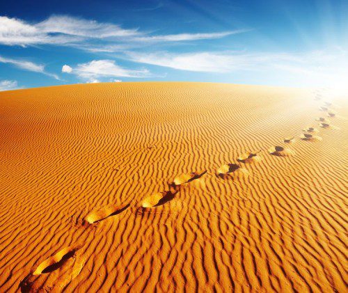 13746672 - footprints on sand dune, sahara desert, algeria