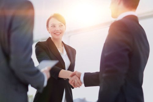 66985064 - two professional business people shaking hands